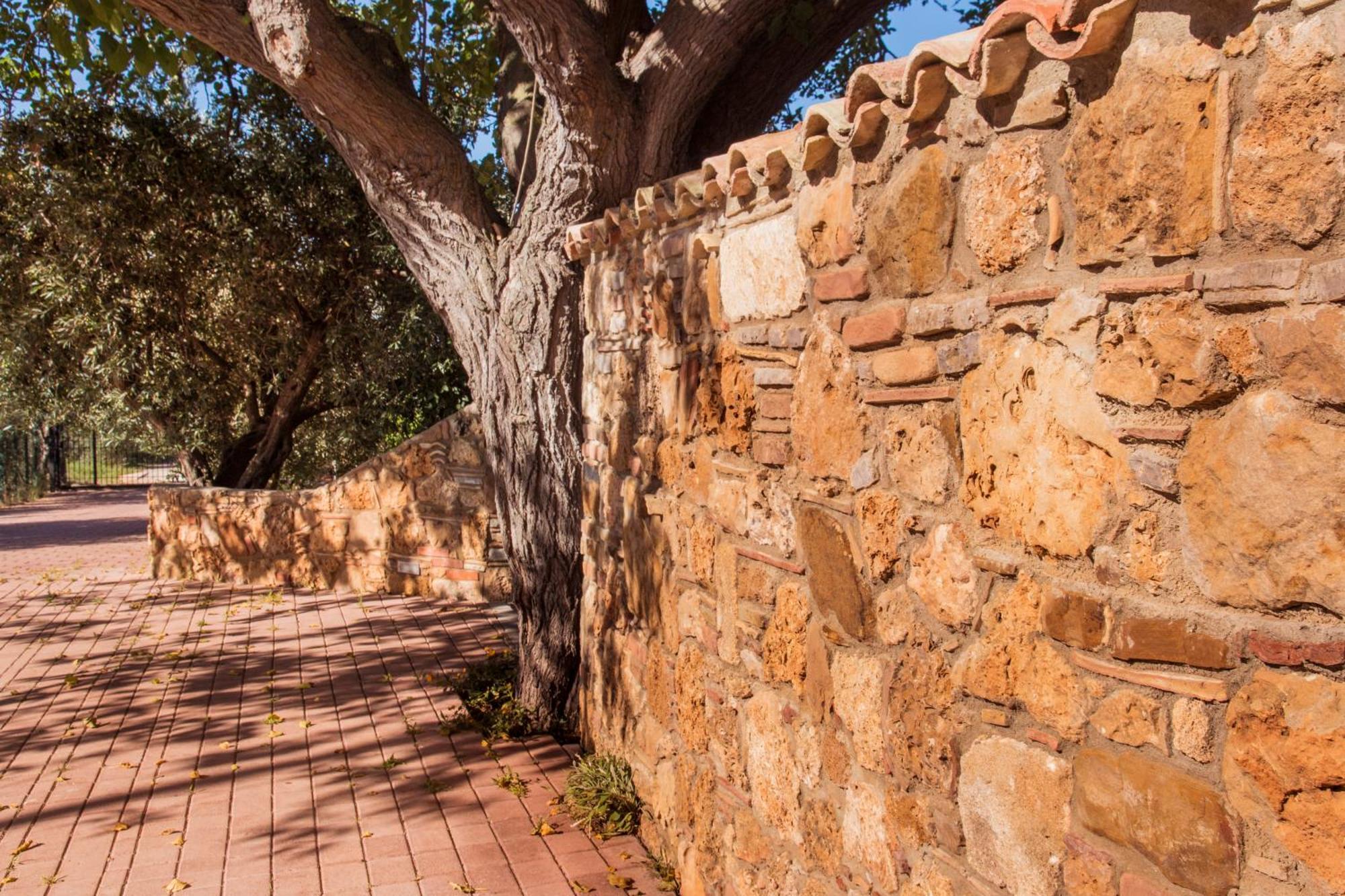 Villa Con Piscina Casale Di Gio Nel Golfo Di Castellammare ปาร์ตินิโก ภายนอก รูปภาพ