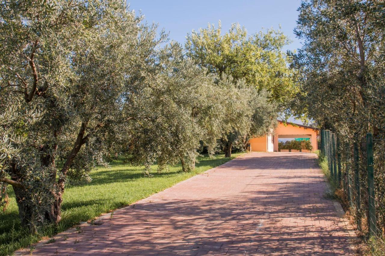 Villa Con Piscina Casale Di Gio Nel Golfo Di Castellammare ปาร์ตินิโก ภายนอก รูปภาพ