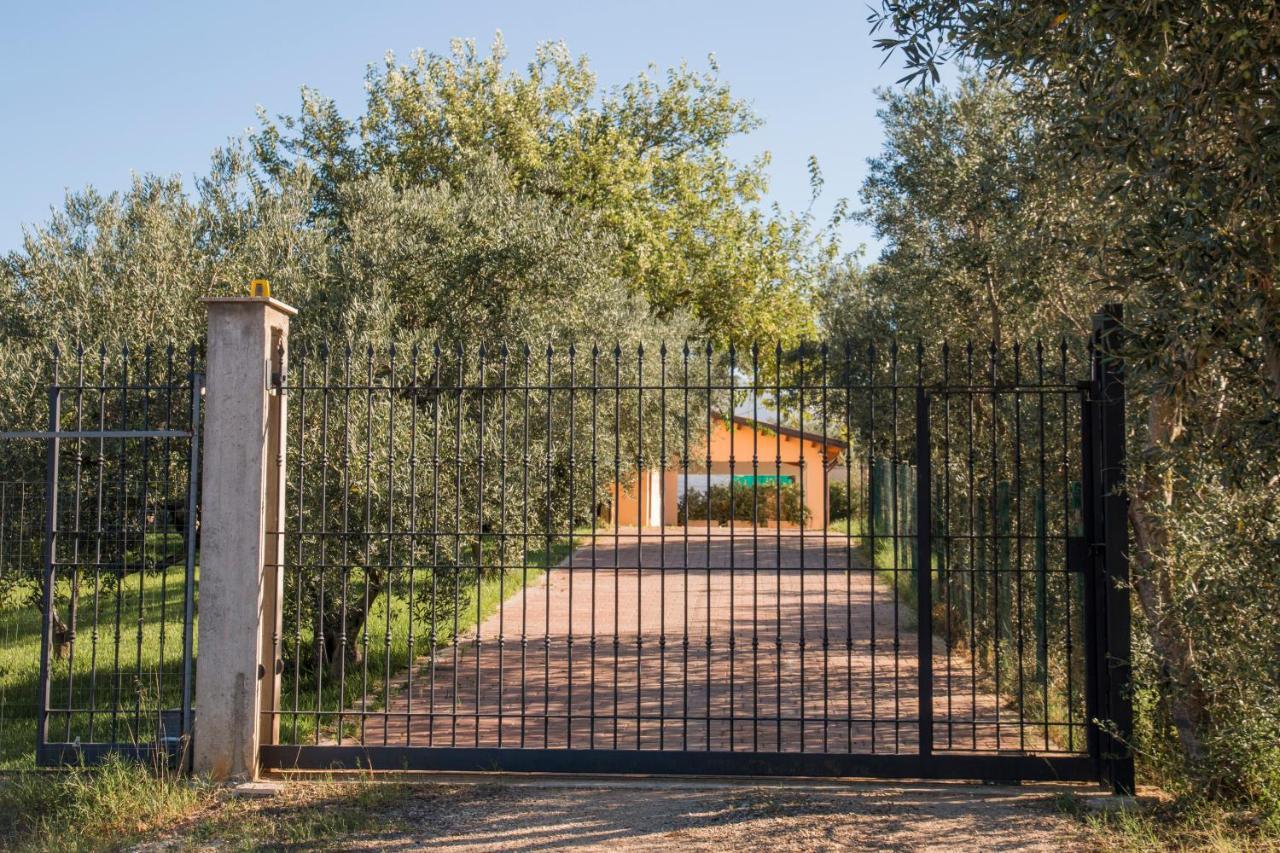 Villa Con Piscina Casale Di Gio Nel Golfo Di Castellammare ปาร์ตินิโก ภายนอก รูปภาพ